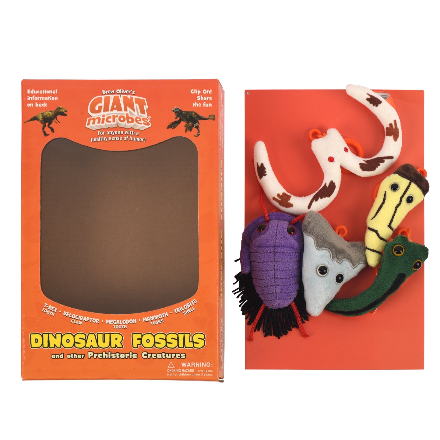 Dinosaur Fossils Gift Box