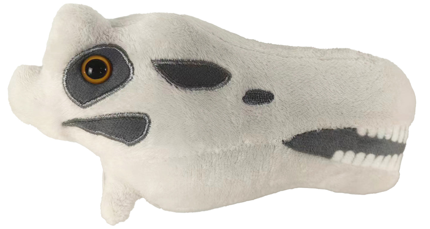Diplodocus Skull