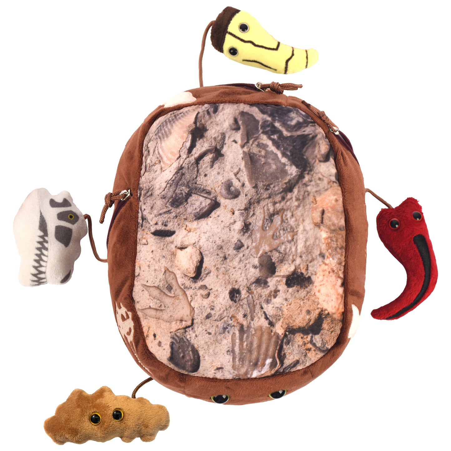 T. Rex Fossil Dig