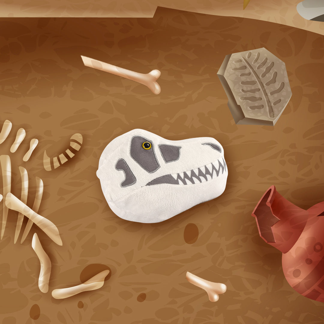 T-Rex Skull