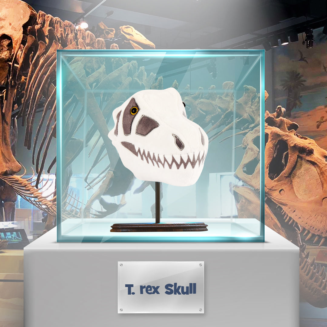 T-Rex Skull