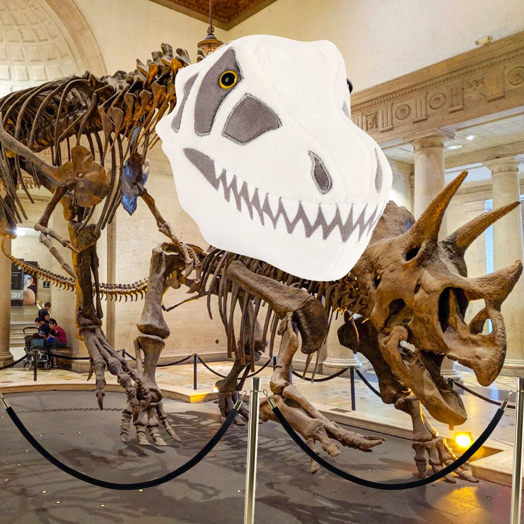 T-Rex Skull