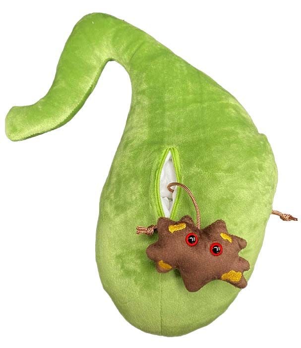 Deluxe Gallbladder