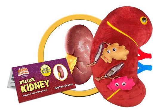 Deluxe Kidney