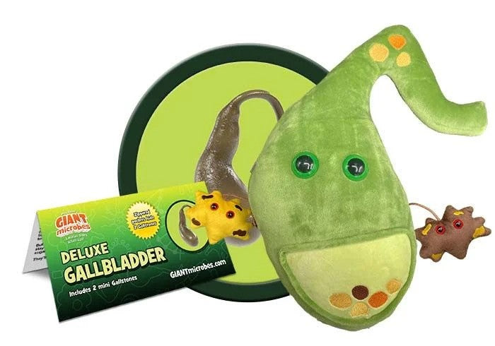 Deluxe Gallbladder