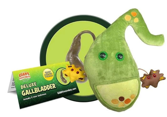 Deluxe Gallbladder