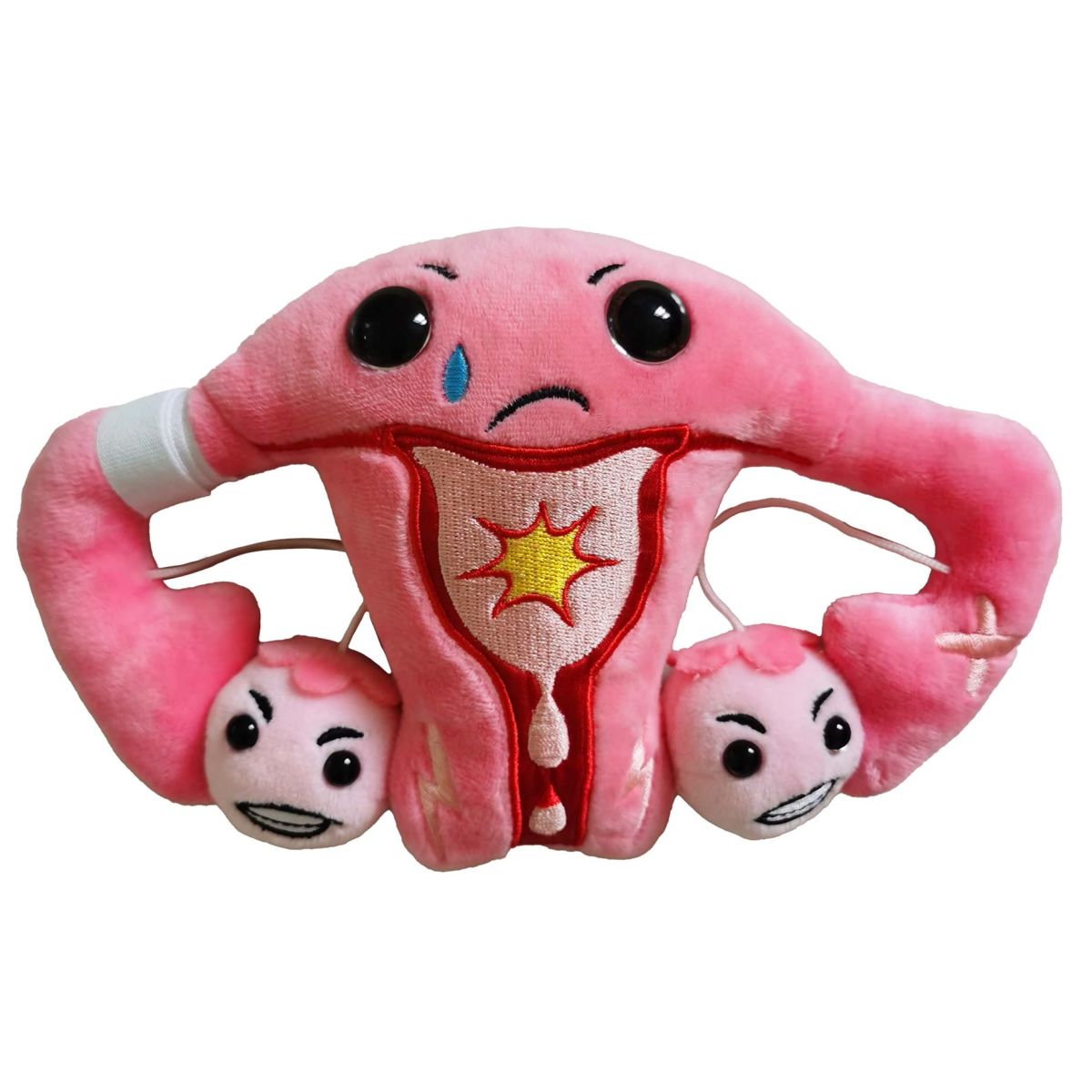 PMS