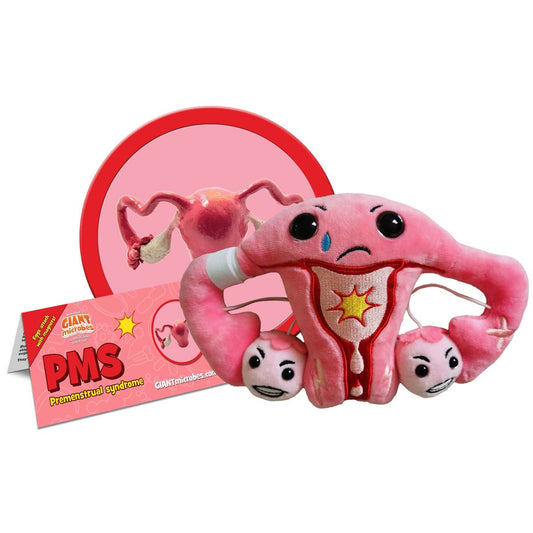 PMS