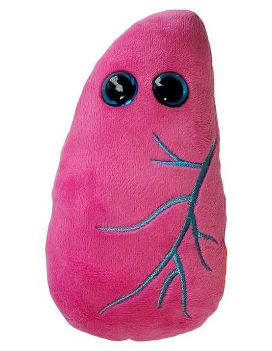 Lung