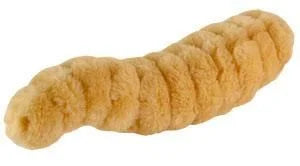 Maggot