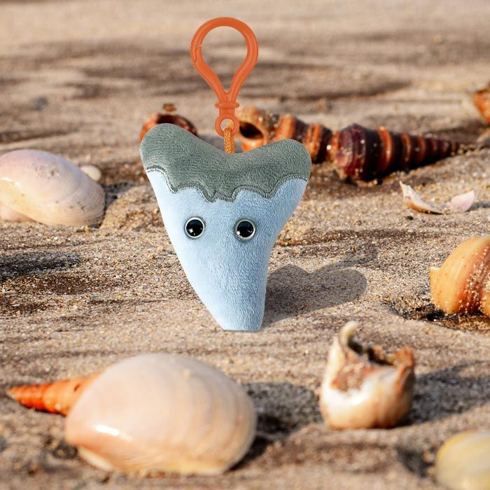 Megalodon Tooth Keychain