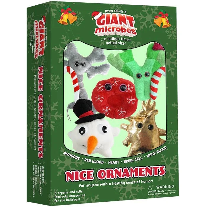 Nice Ornaments Gift Box