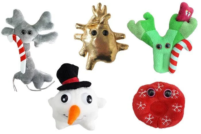 Nice Ornaments Gift Box