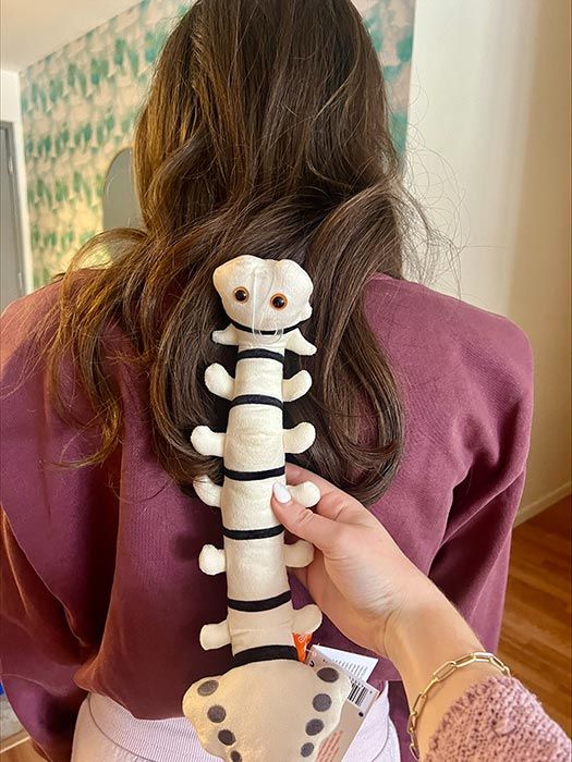Spine