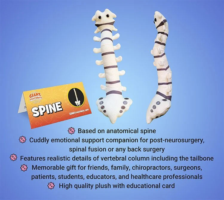 Spine