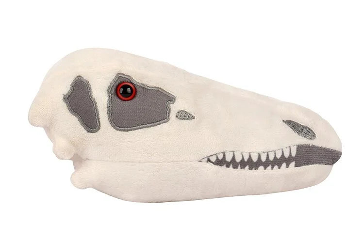 Stegosaurus Skull