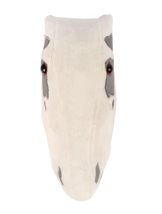 Stegosaurus Skull
