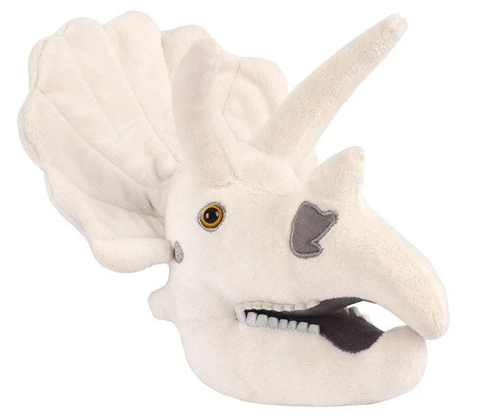 Triceratops Skull