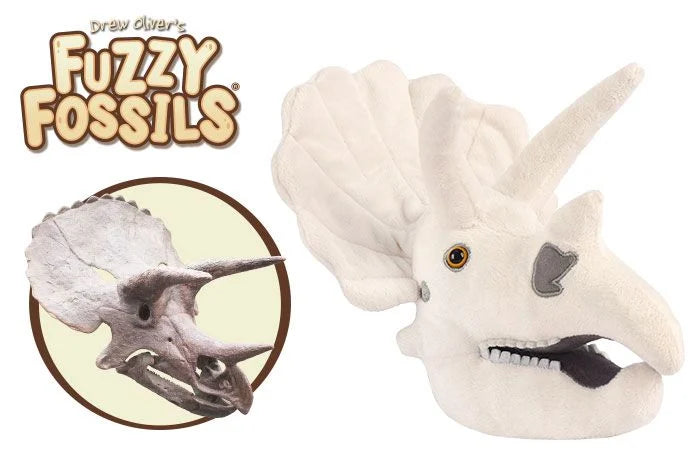 Triceratops Skull