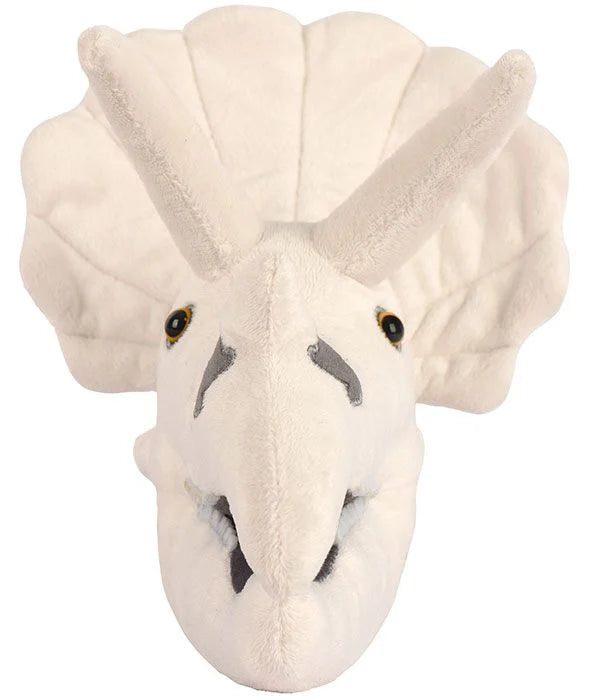Triceratops Skull