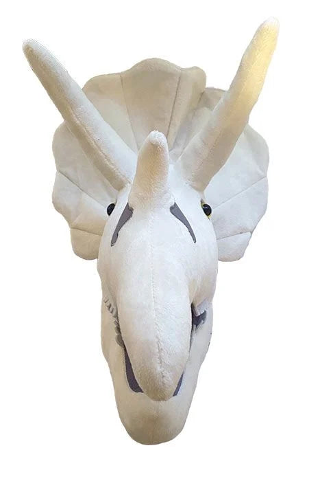 Triceratops Skull - Gigantic