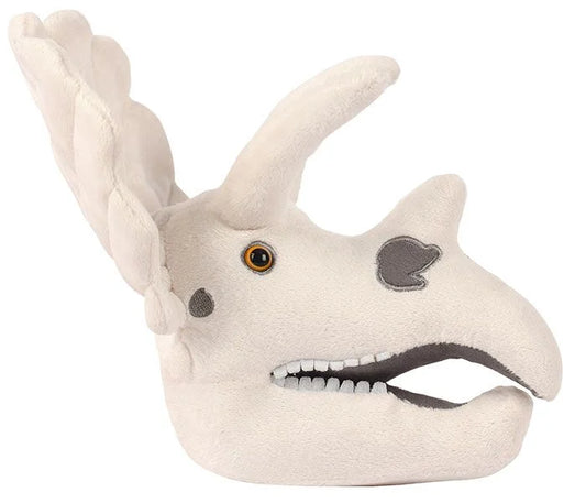 Triceratops Skull