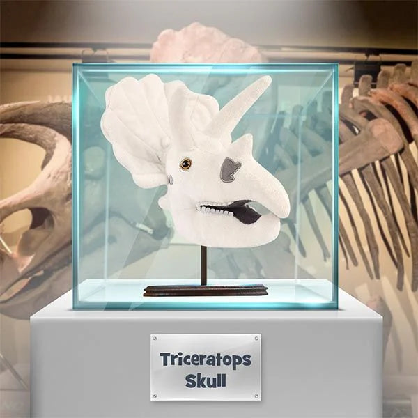 Triceratops Skull