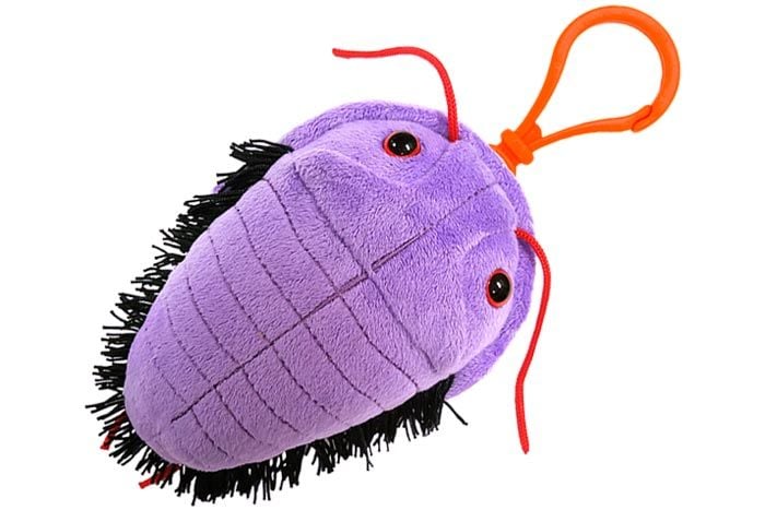 Trilobite Key Chain Giant Microbes Canada