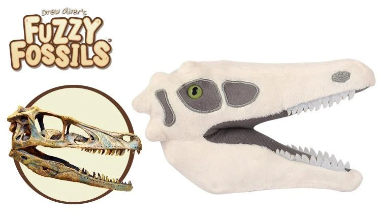 Velociraptor Skull