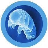 Waterbear Gigantic 15"