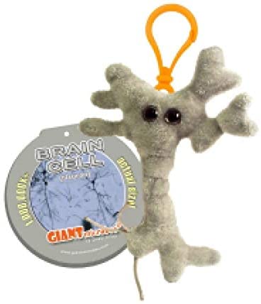 Brain Cell key chain
