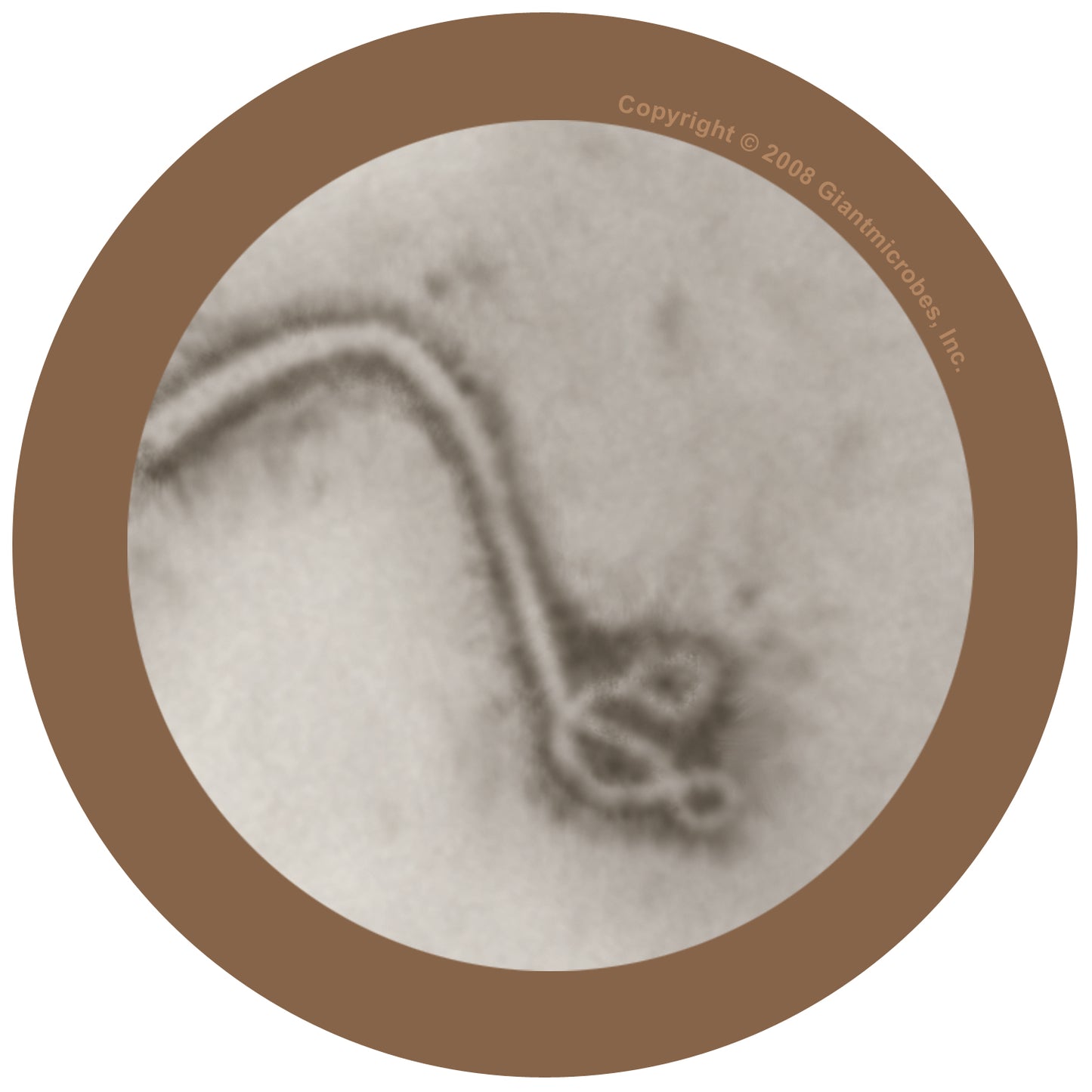 Biohazards Gift Box