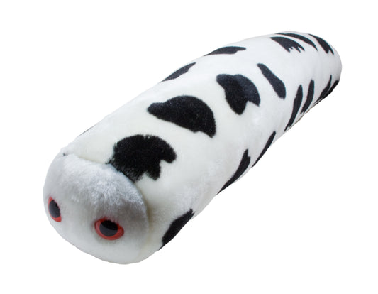 Mad Cow (Bovine Spongiform Encephalopathy)