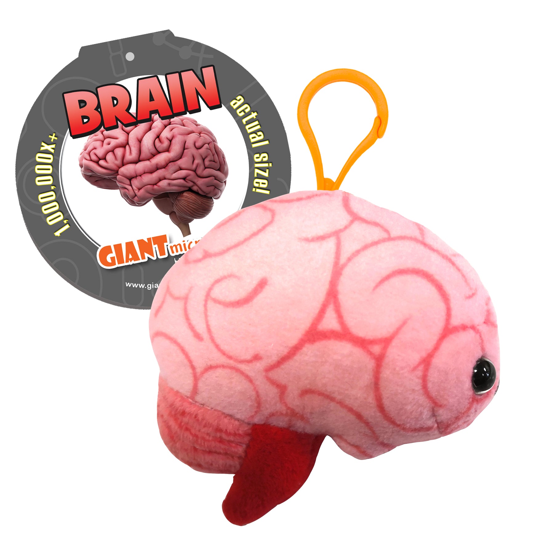 Brain Organ Key Chain Giant Microbes Canada