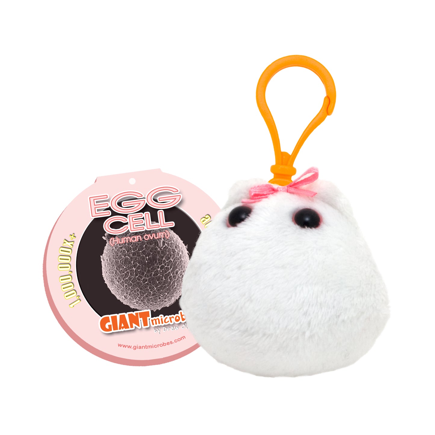 Egg Cell Key Chain (Human Ovum)