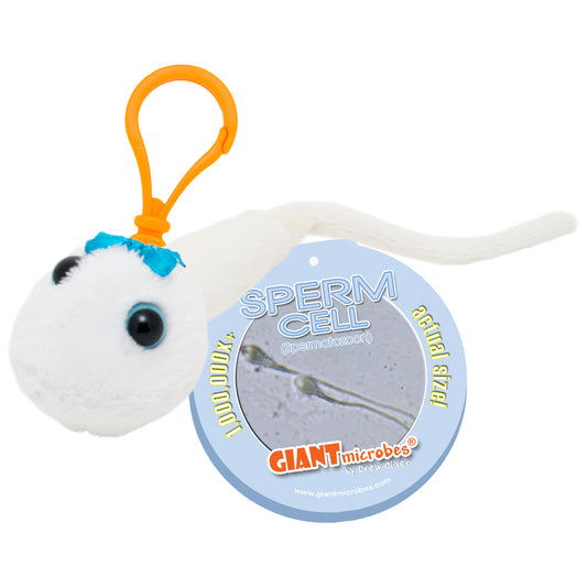 Sperm Cell Key Chain