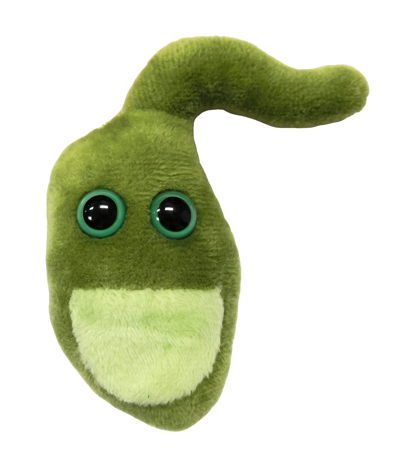 Gallbladder key chain
