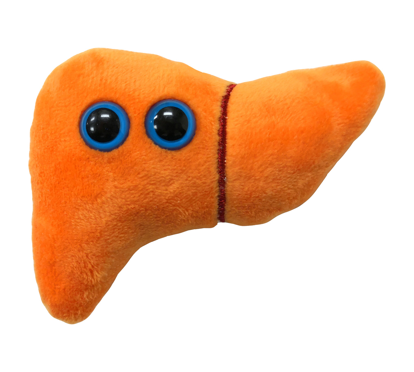 Liver key chain