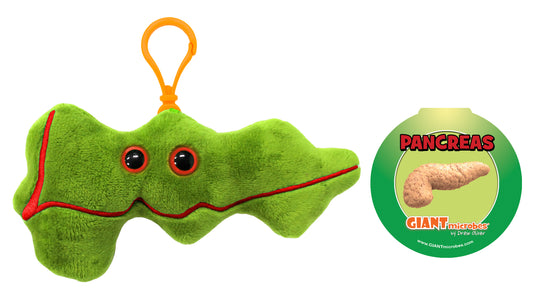 Pancreas key chain