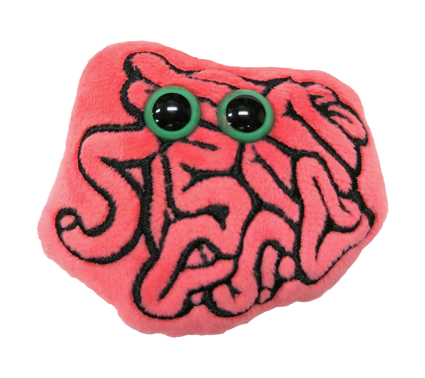 Small Intestine