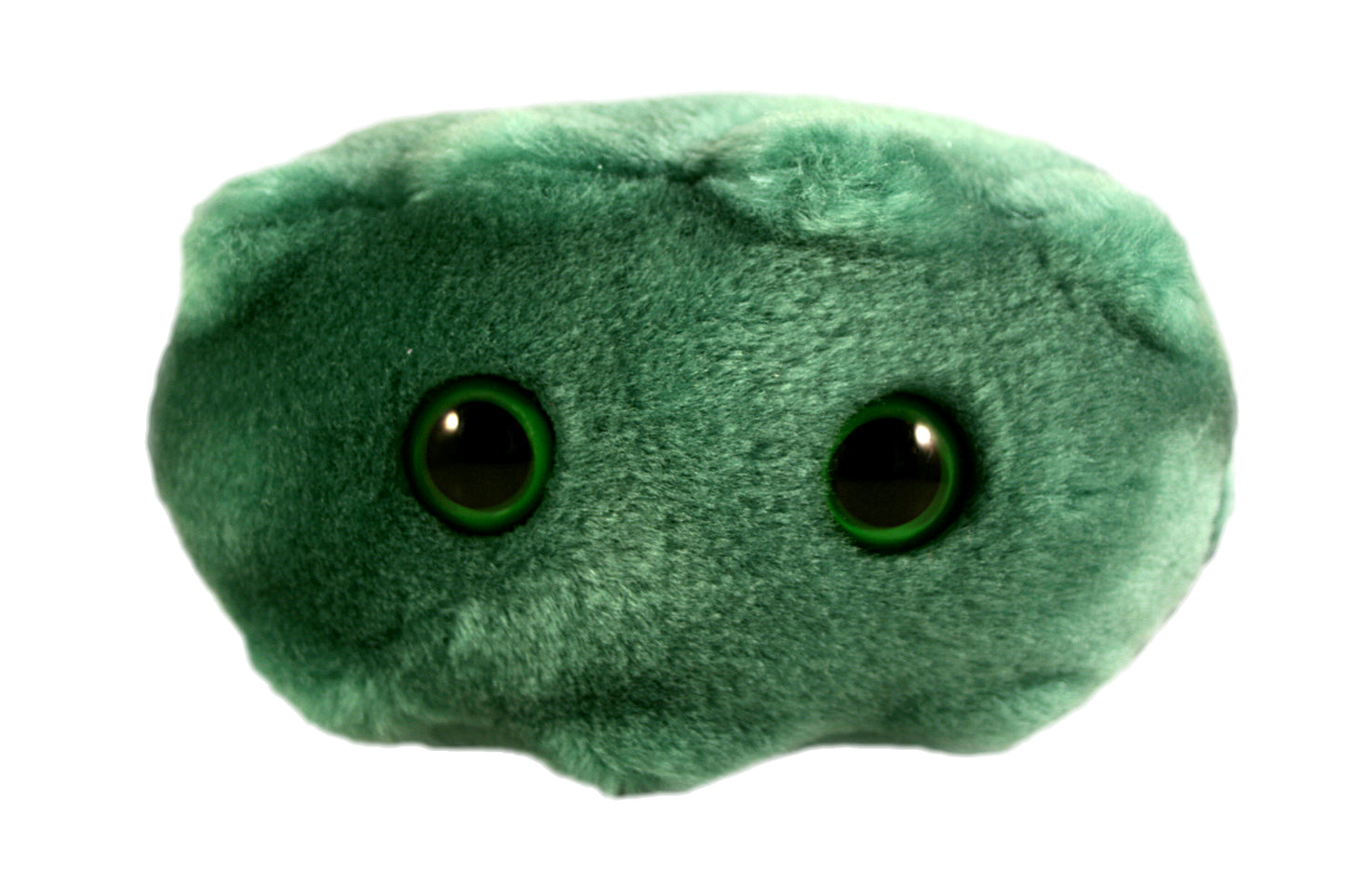 Bad Breath (Porphyromonas Gingivalis)