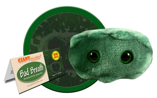 Bad Breath (Porphyromonas Gingivalis)