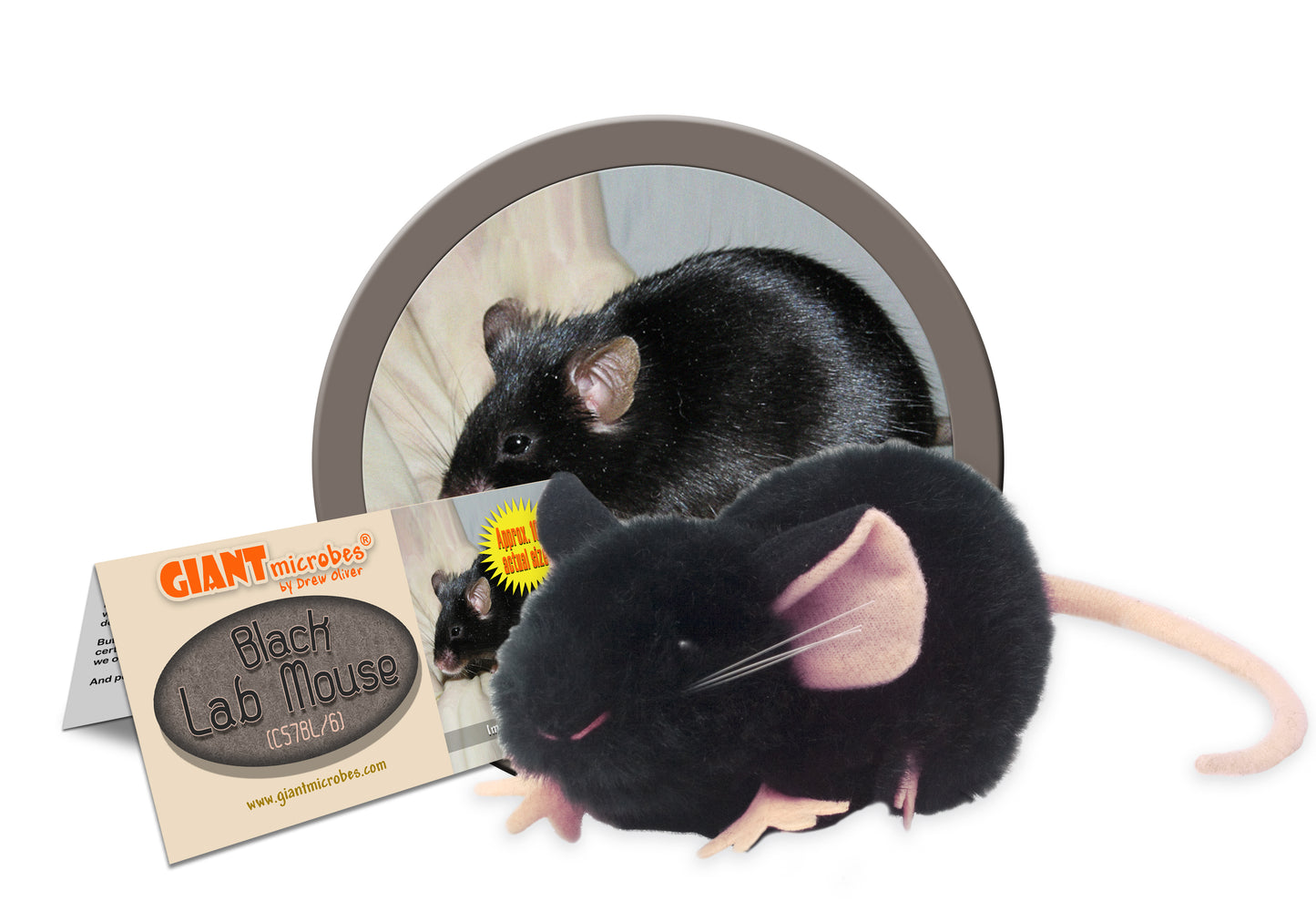 Black Lab Mouse