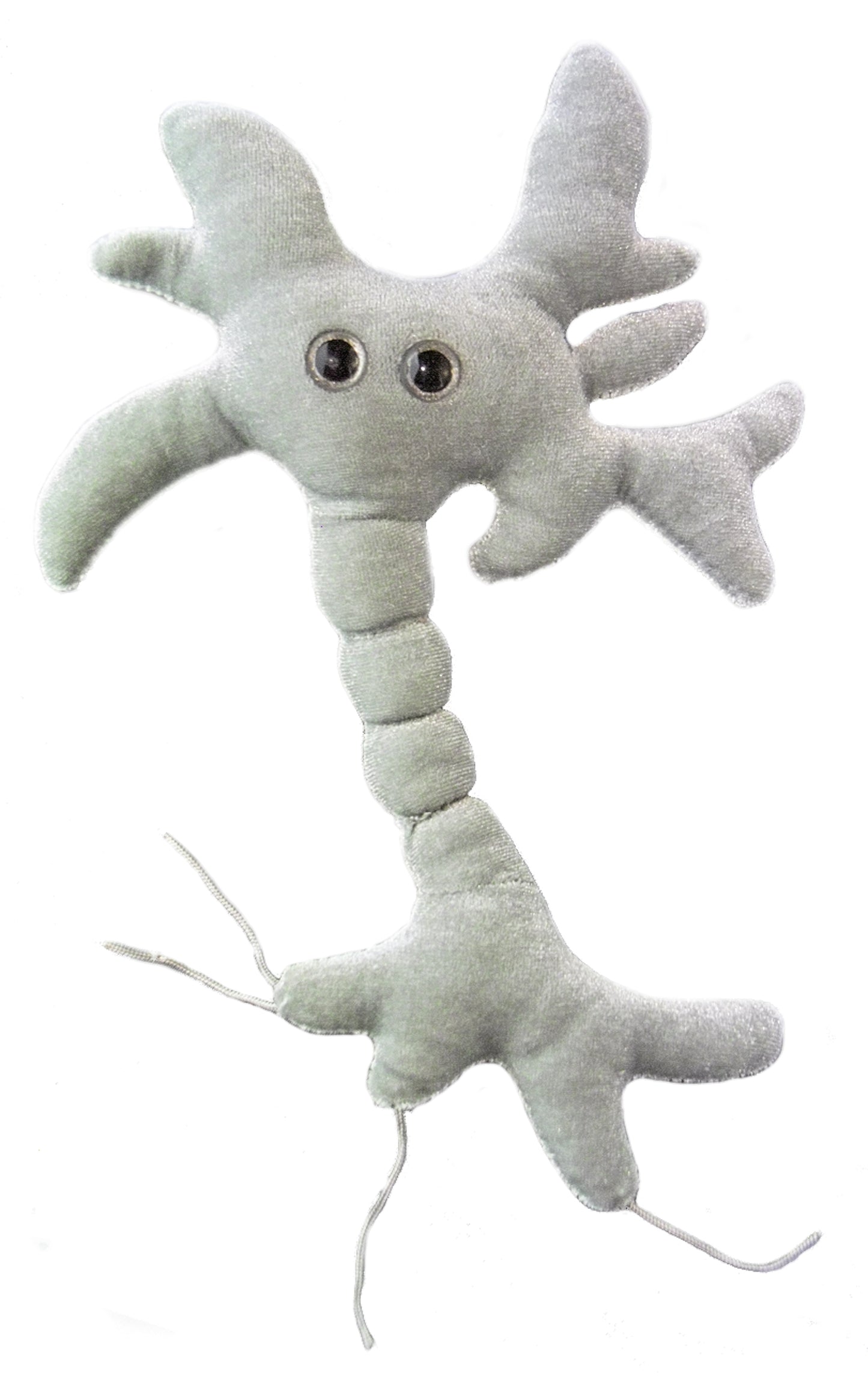 Brain Cell (Neuron)