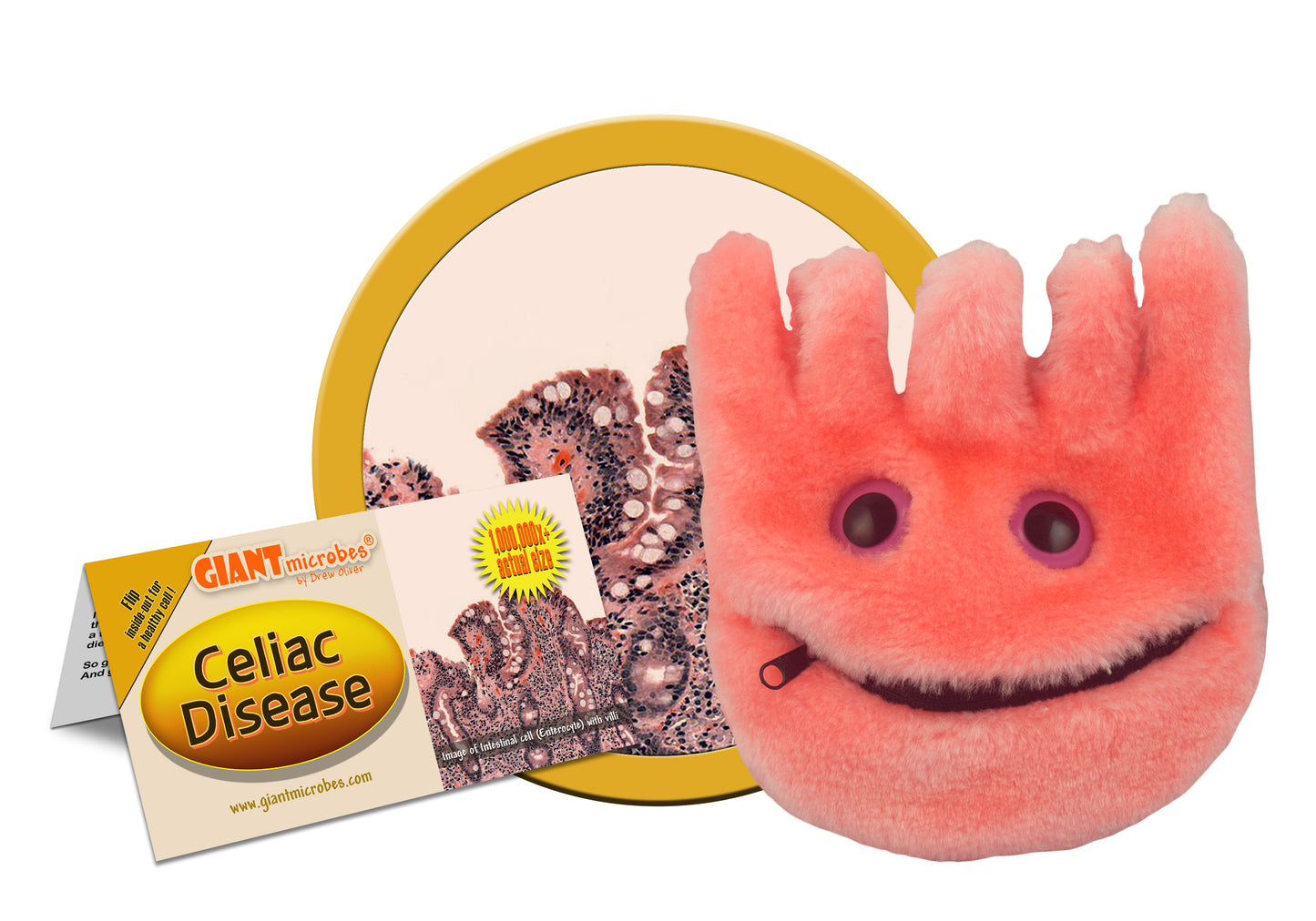 Celiac Disease (Intestine Cell)