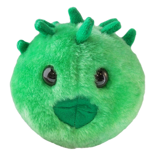 Chlamydia (Chlamydia Trachomatis)