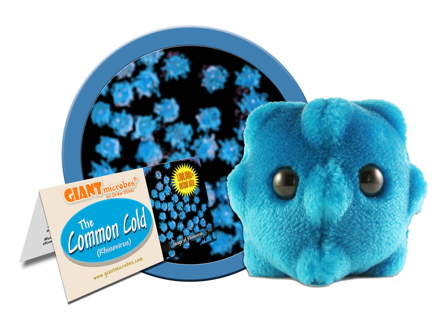 Common Cold (Rhinovirus)
