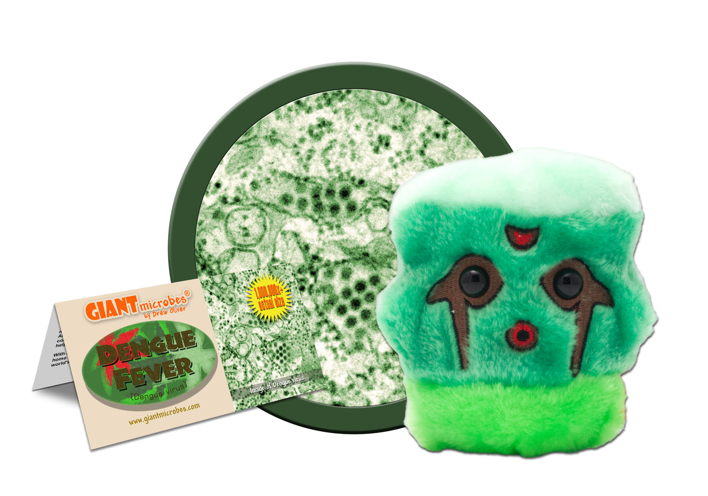 Dengue Fever (Dengue Virus)