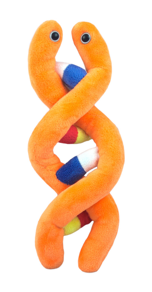 DNA (Deoxyribonucleic Acid)