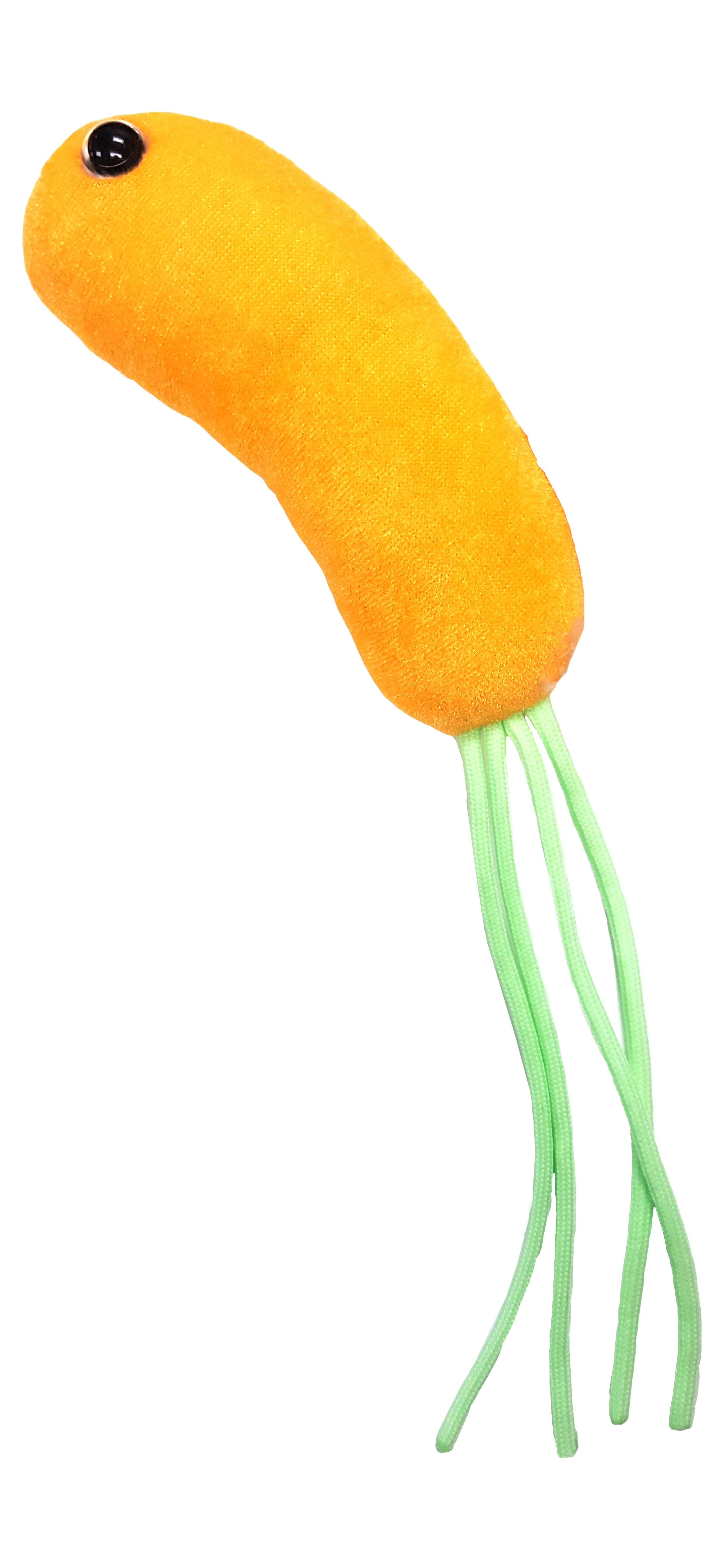 Geo, The Electric Microbe (Geobacter Sulfurreducens) Giant Microbes